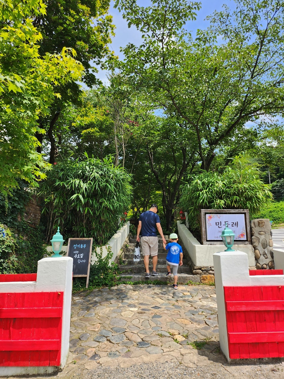 민들레 사진 2