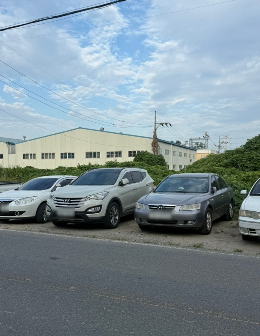거목돼지국밥 사진 3