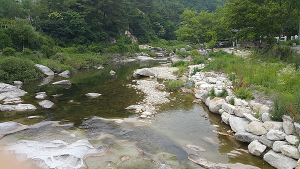별마중펜션 사진 2