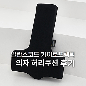 발란스코드 카이로프랙틱 의자 허리쿠션 추천 사용후기
