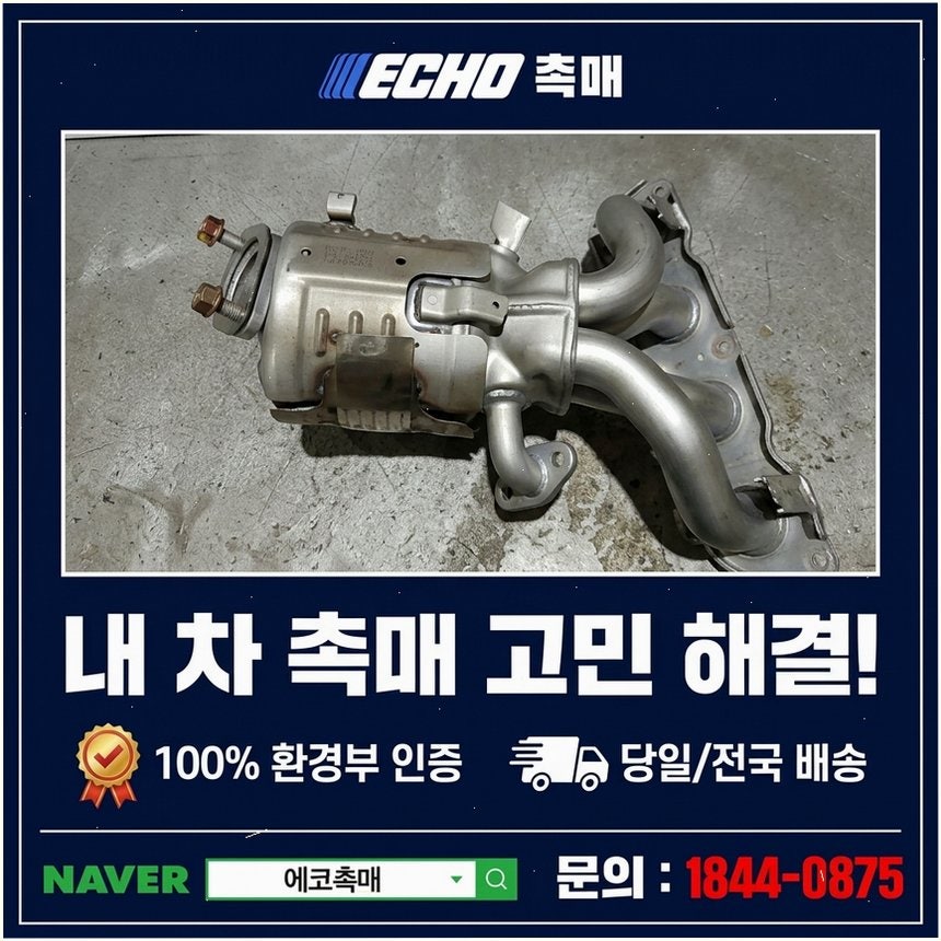 탑동 사진 5