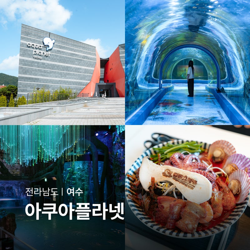여수 가족여행 아쿠아플라넷 아쿠아리움 실내 데이트 8월 여행지 추천