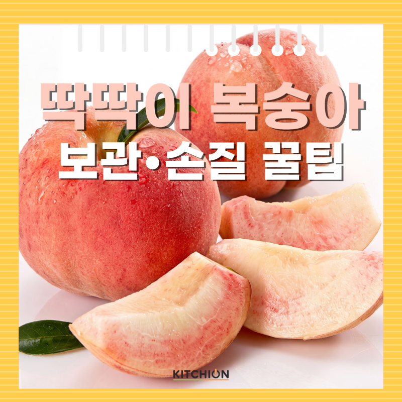 백도 딱딱이 복숭아 보관법과 쉽게 자르는 법 총정리