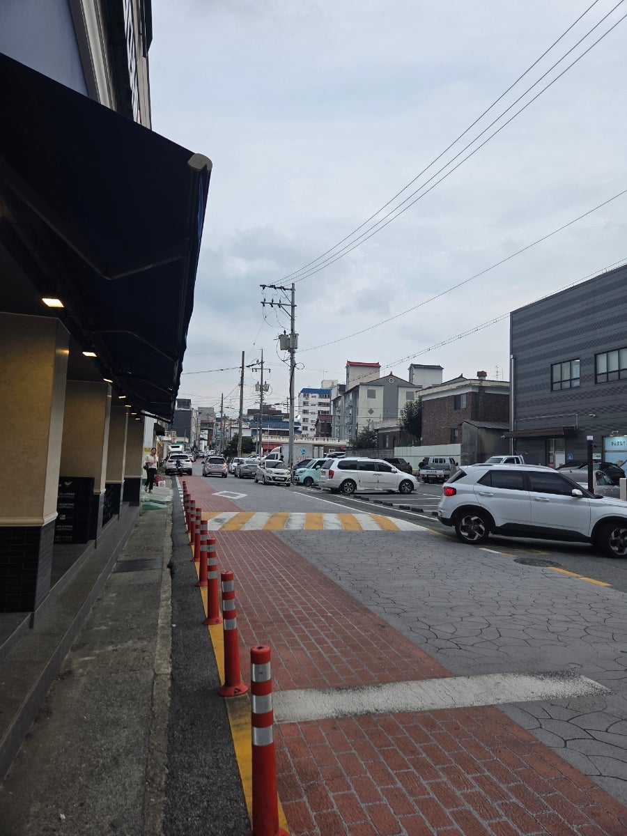 호돈 사진 3