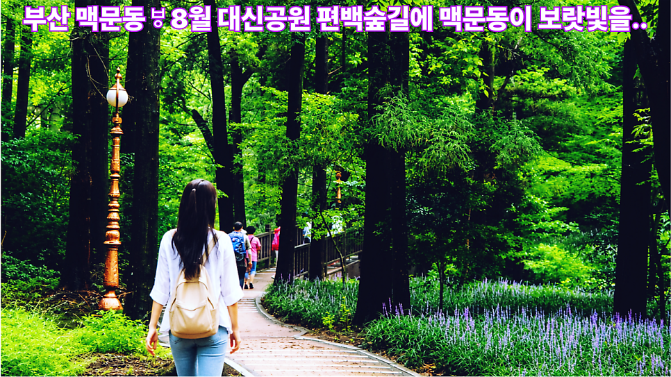 맥문동 사진 1