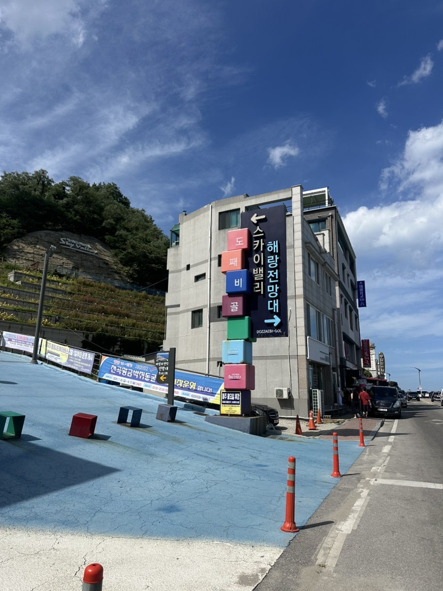 회귀빈 사진 2