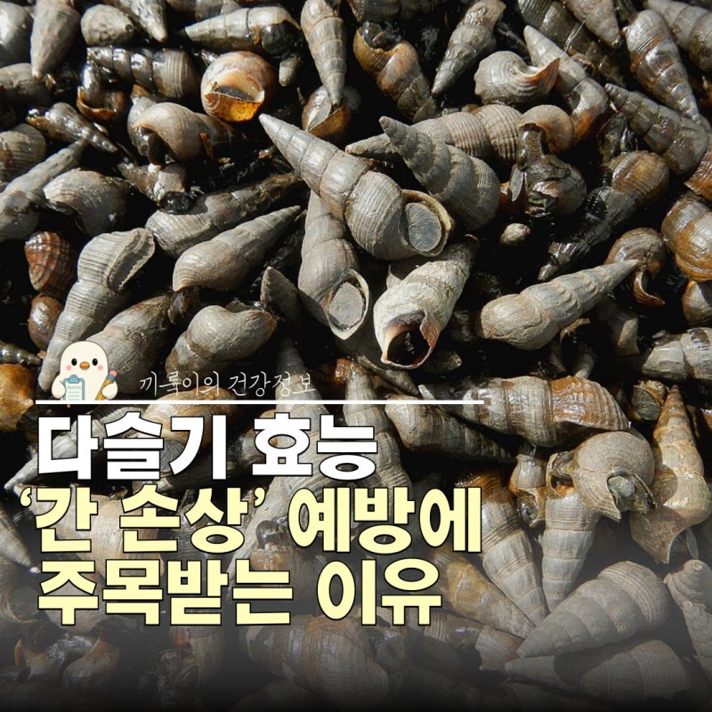 다슬기 효능 간 건강에 좋은 이유, 영양성분 해감 다슬기즙 다슬기기름 먹는법