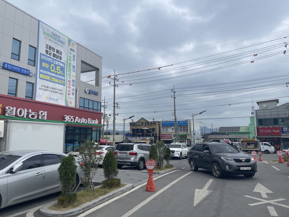 월야농협 한우마을 사진 1