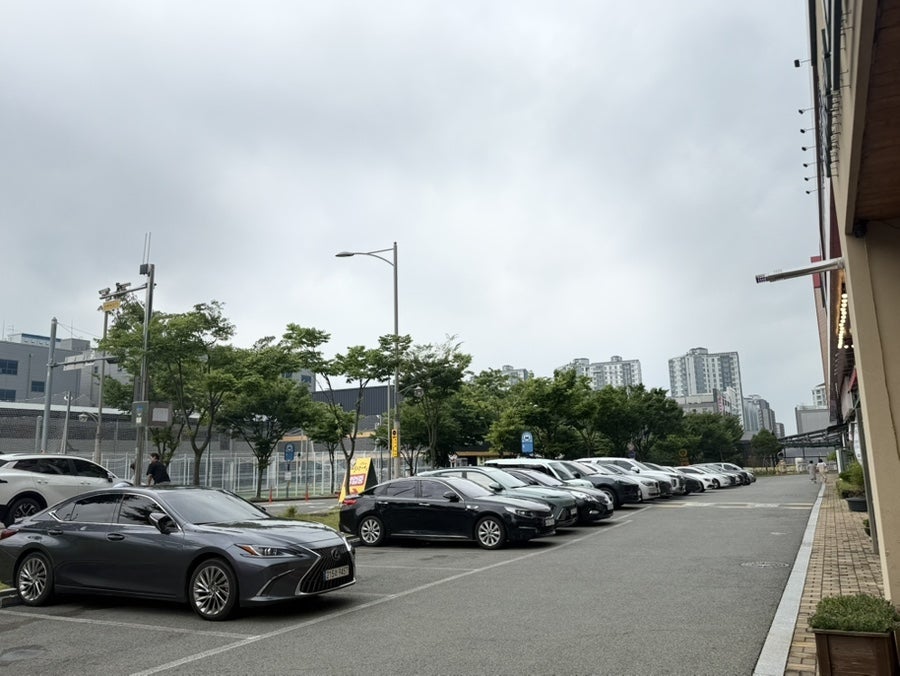 나폴리언덕 사진 2