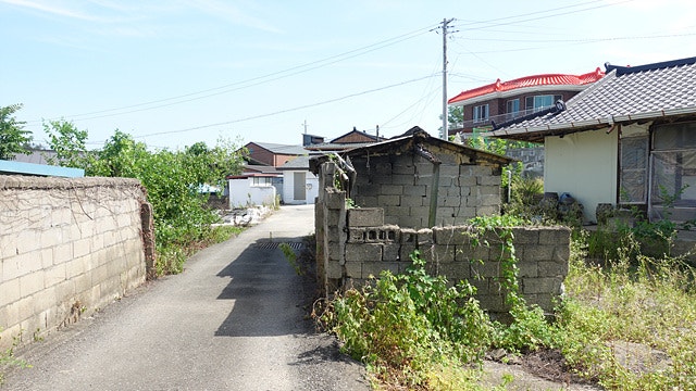 시골 사진 6