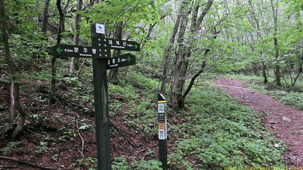 대덕산 사진 5
