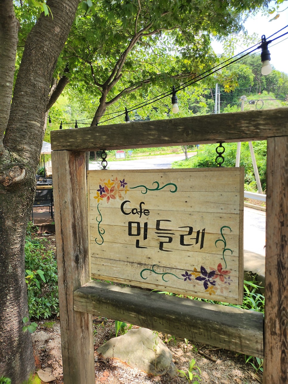 민들레 사진 3
