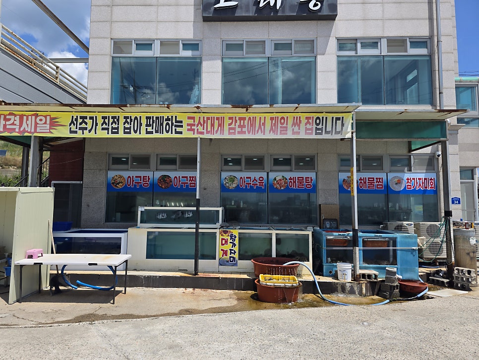 고래등 사진 4