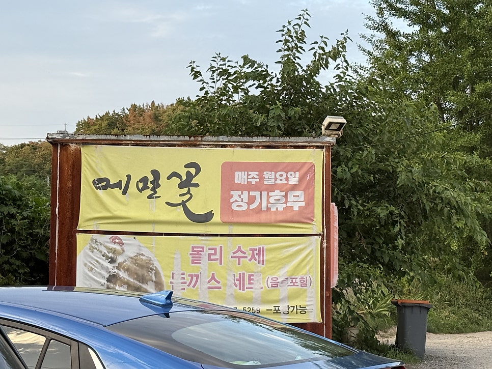 메밀꽃 사진 3