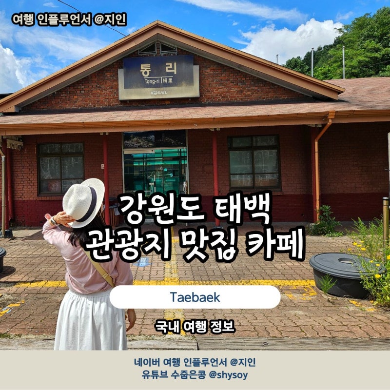 태백 가볼만한곳 7 관광지 맛집 카페 포함