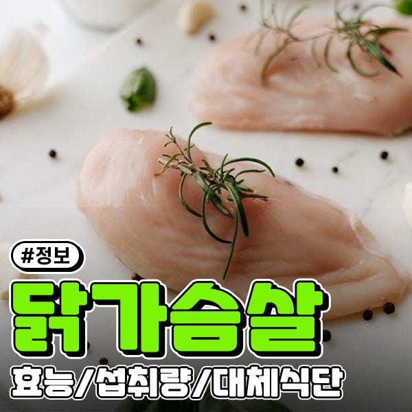 닭가슴살 효능 알고 먹자! 1일 단백질 섭취량, 질릴 때 먹는 대체 식단 추천
