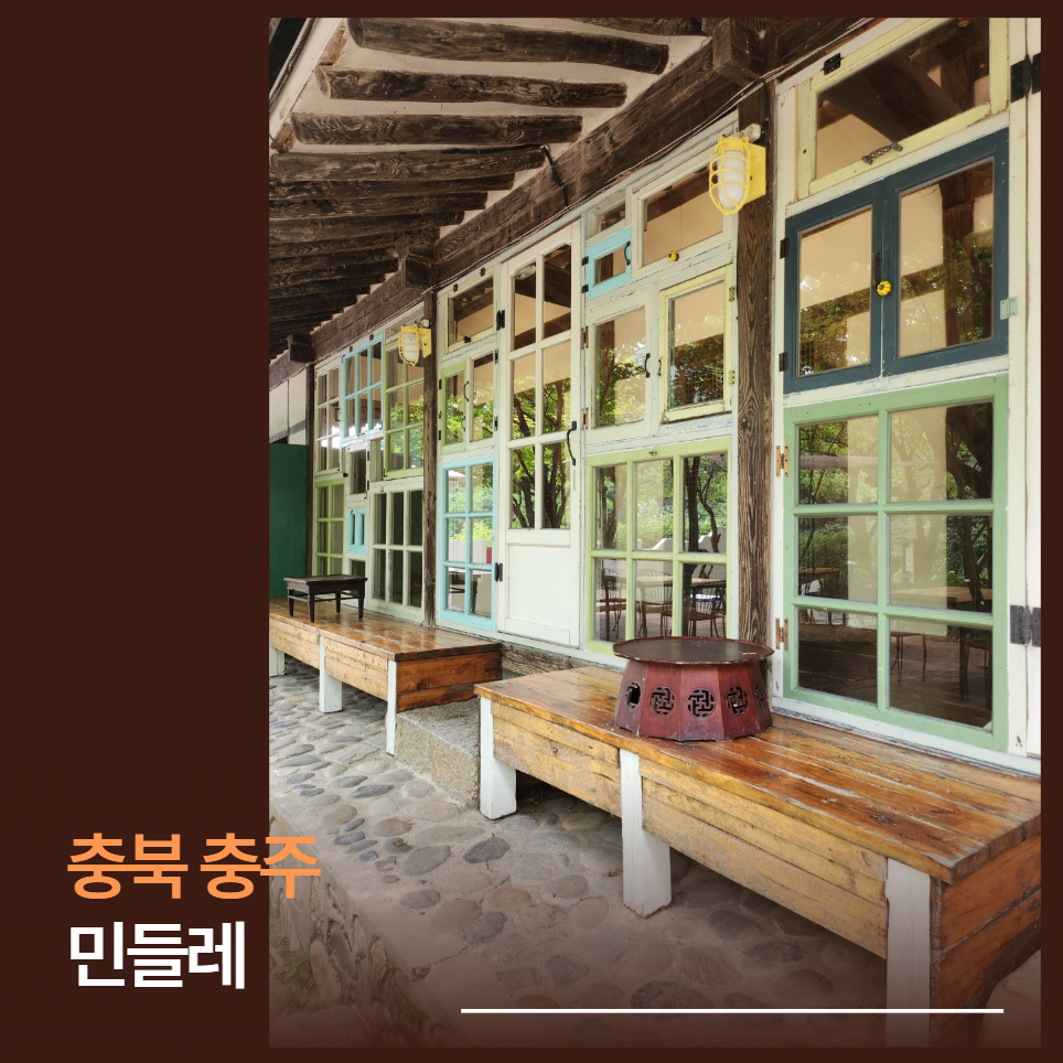 민들레 사진 1