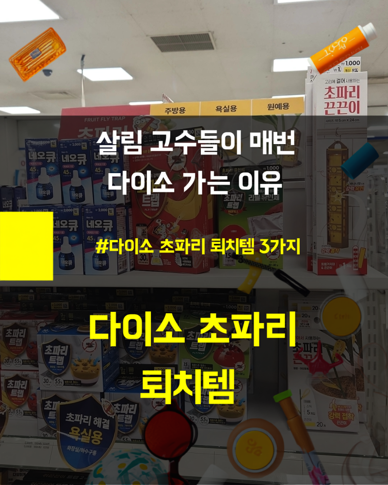 "5,000원"으로 여름철 초파리 잡아보겠습니다. 다이소 초파리 퇴치템 3종 솔직 후기