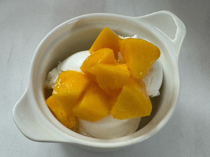 요거트빌리지 그릭요거트 쿠팡 추천 다이어트 수제 그릭요거트! 맛있는 다이어트