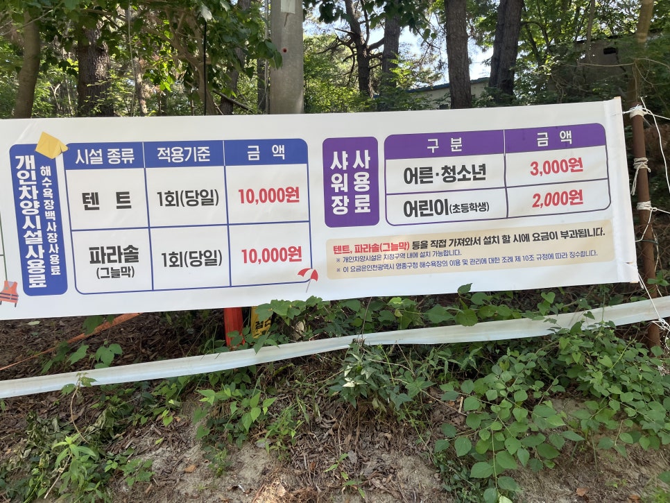 무의도 사진 5