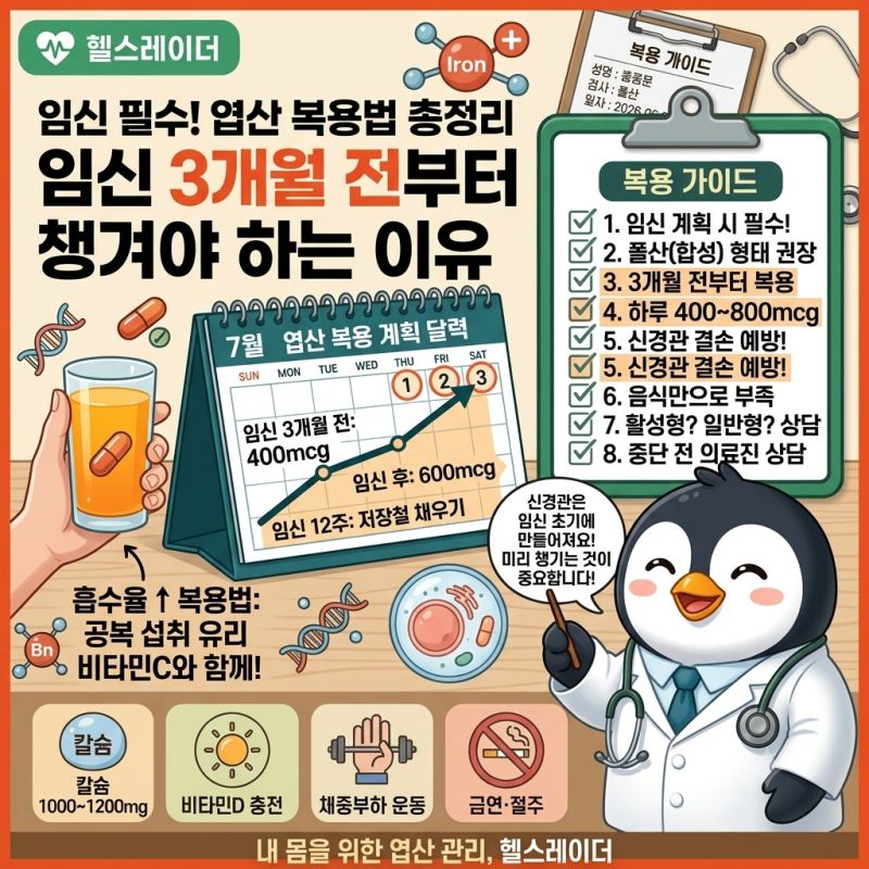 엽산 효능과 복용법 총정리 (임신 준비·하루 권장량·시기·주의사항)