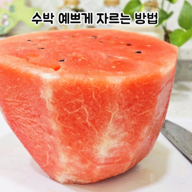 수박 자르는 법 먹기 편하고 보관까지 쉬운 꿀팁