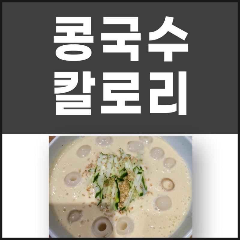 콩국수 칼로리 다이어트중 먹어도 될까요 단백질함량 총정리