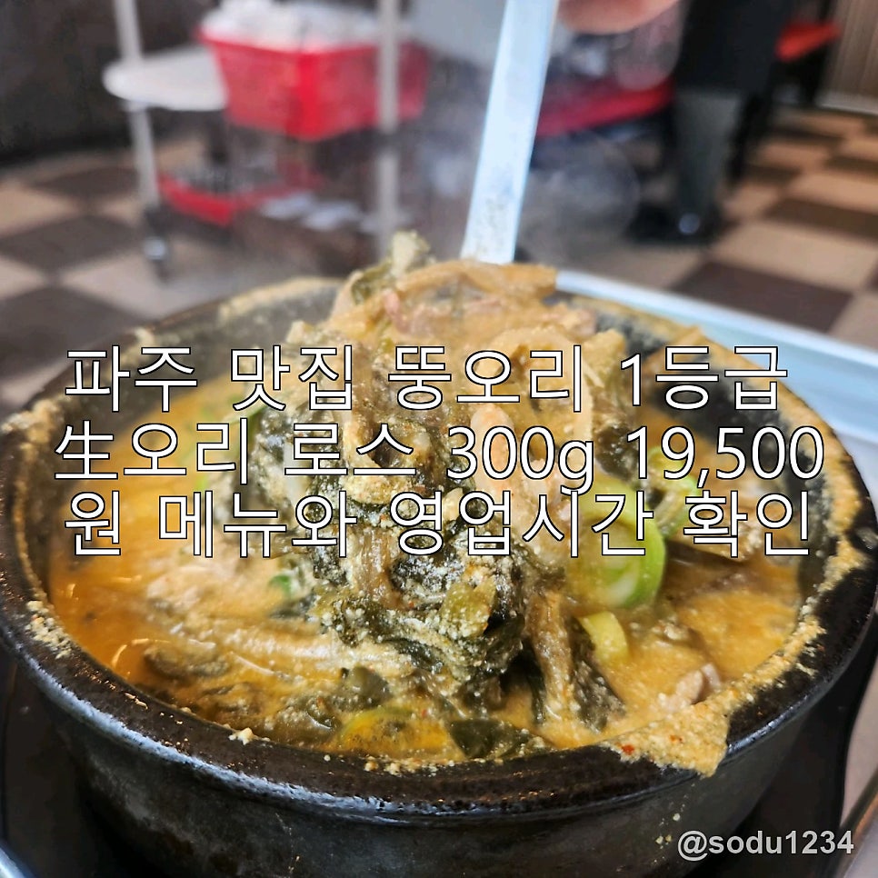 뚱오리 사진 1