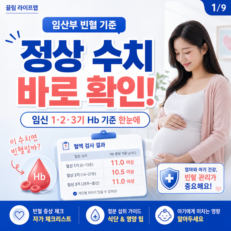 임산부 빈혈 수치 정상 범위 확인하세요