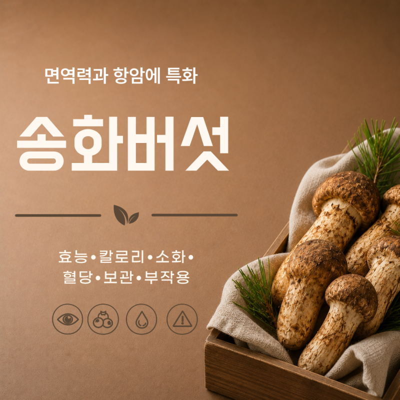 송화버섯 효능 7가지 먹는 법 보관 법 부작용
