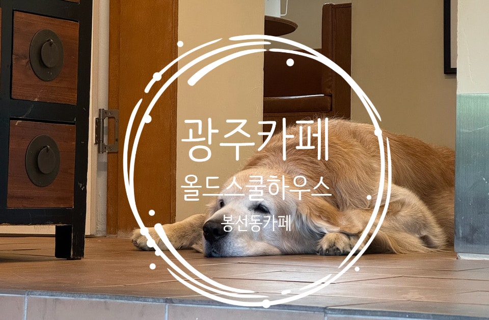 올드스쿨하우스 사진 6