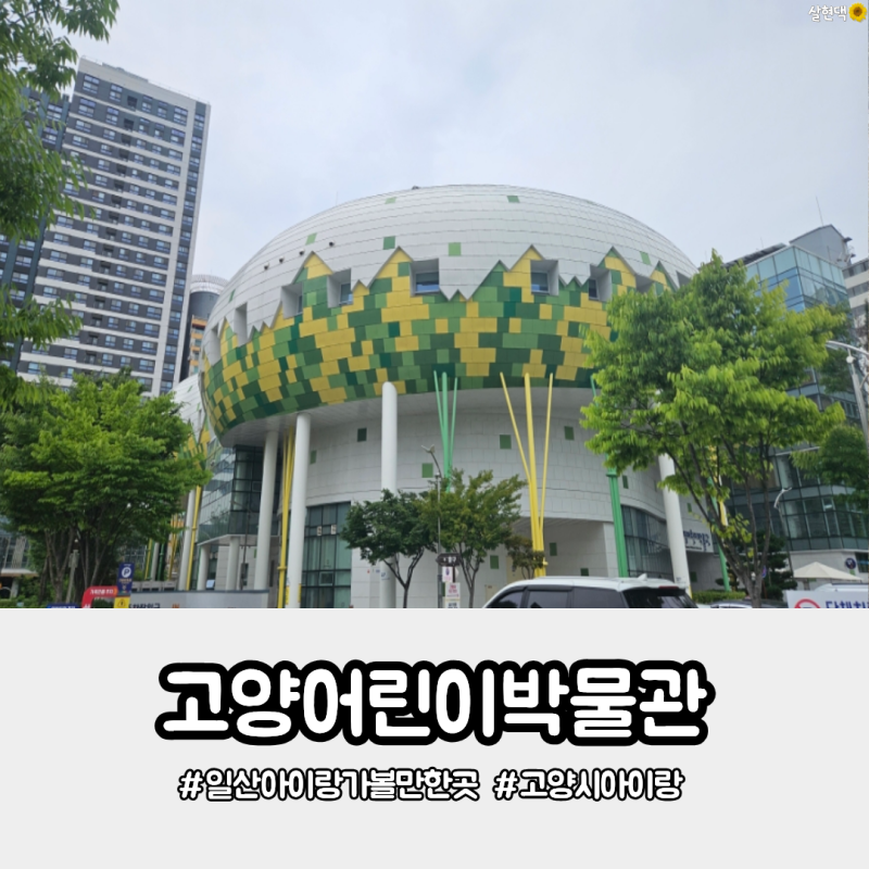 고양시아이랑 어디갈까?초등학생도 푹 빠진 고양어린이박물관 후기