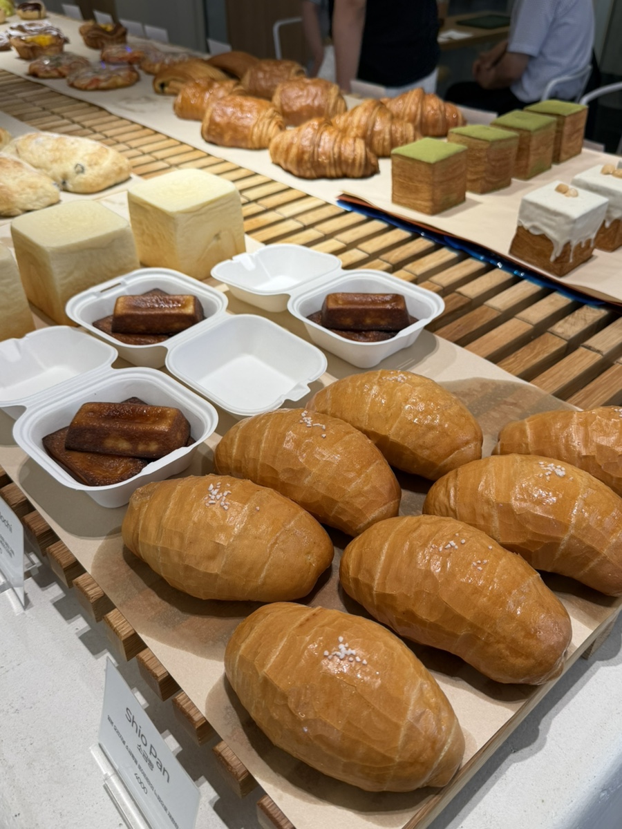 로이터 사진 5