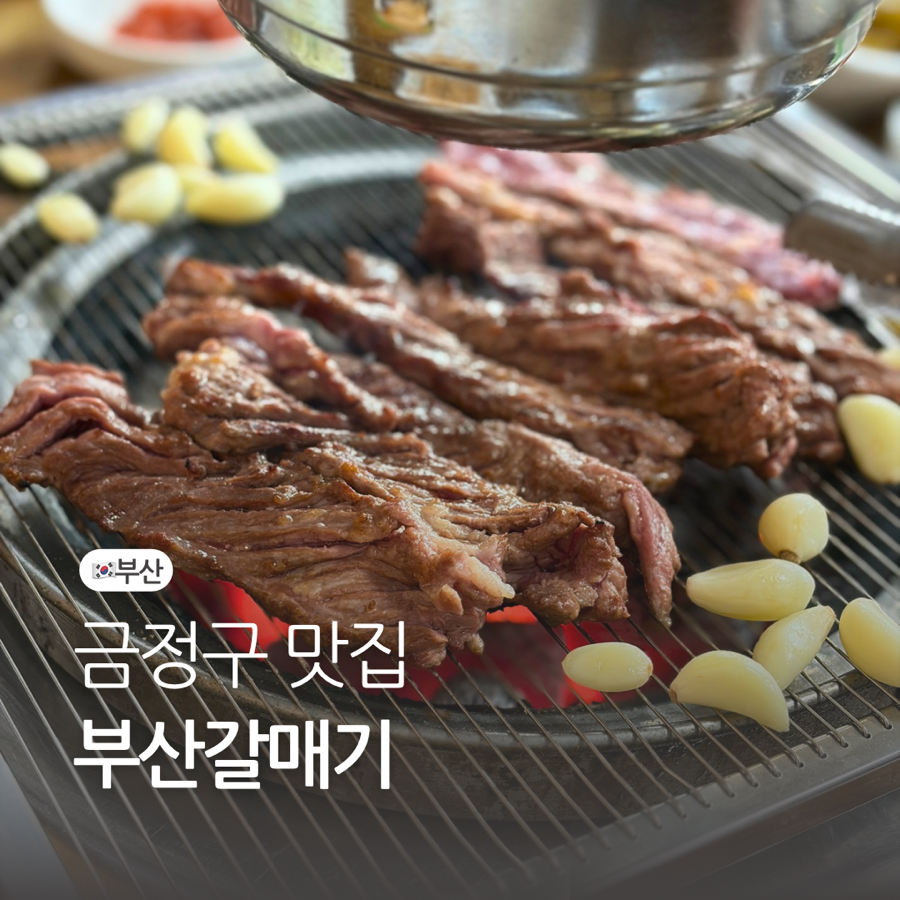 부산갈매기 사진 1
