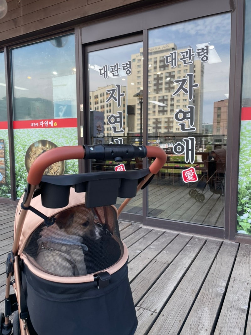 평창 애견동반 맛집 추천, 대관령자연애 솔직 후기