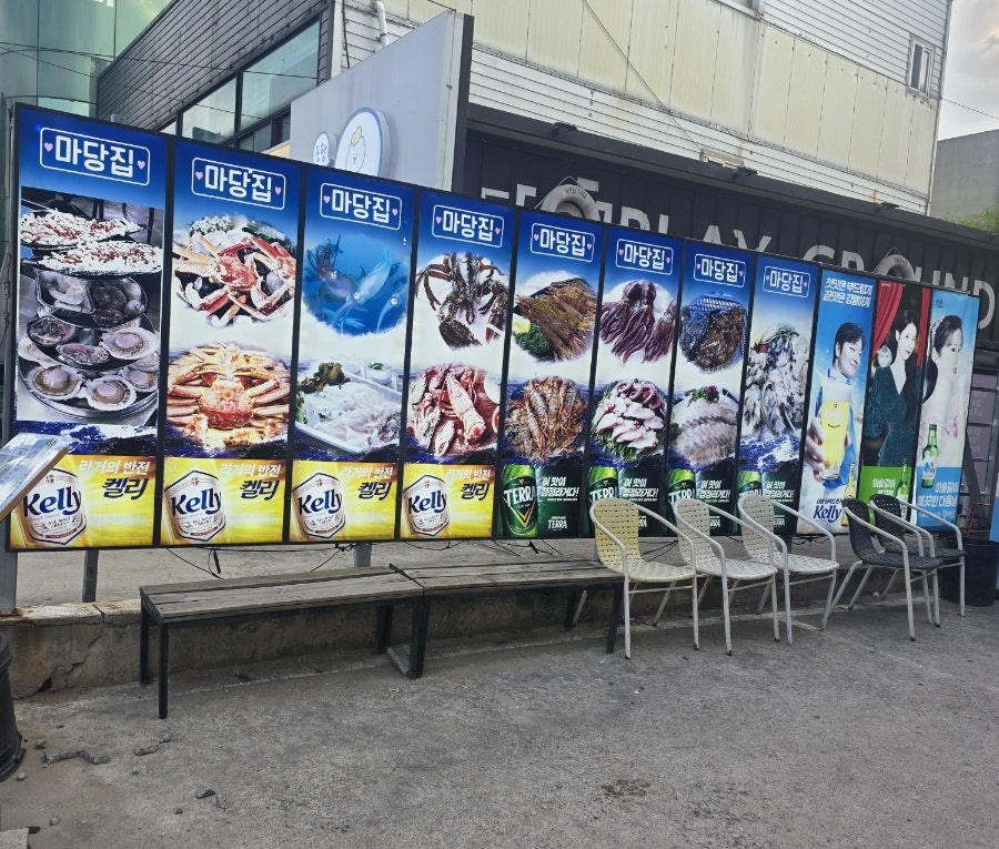 마당집 사진 3
