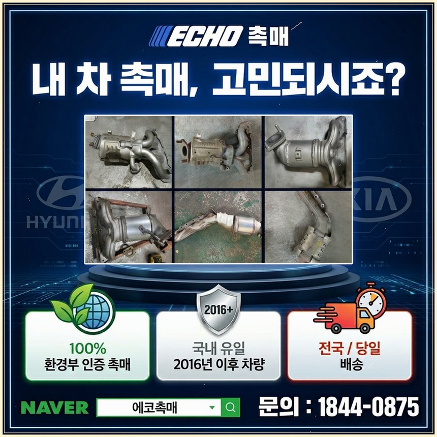 탑동 사진 1