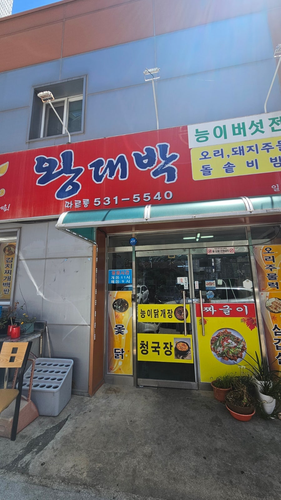 왕대박 사진 1