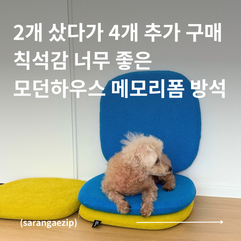 착석감 좋은 집들이 방석 | 모던하우스 마이호텔 메모리폼 방석 내돈내산 솔직 후기