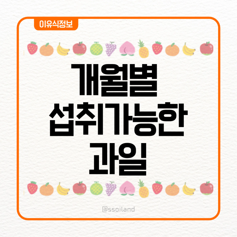 [이유식 정보] 아기 과일 언제부터 먹일까? 월령별 과일 시기와 실수하기 쉬운 주의사항 총정....
