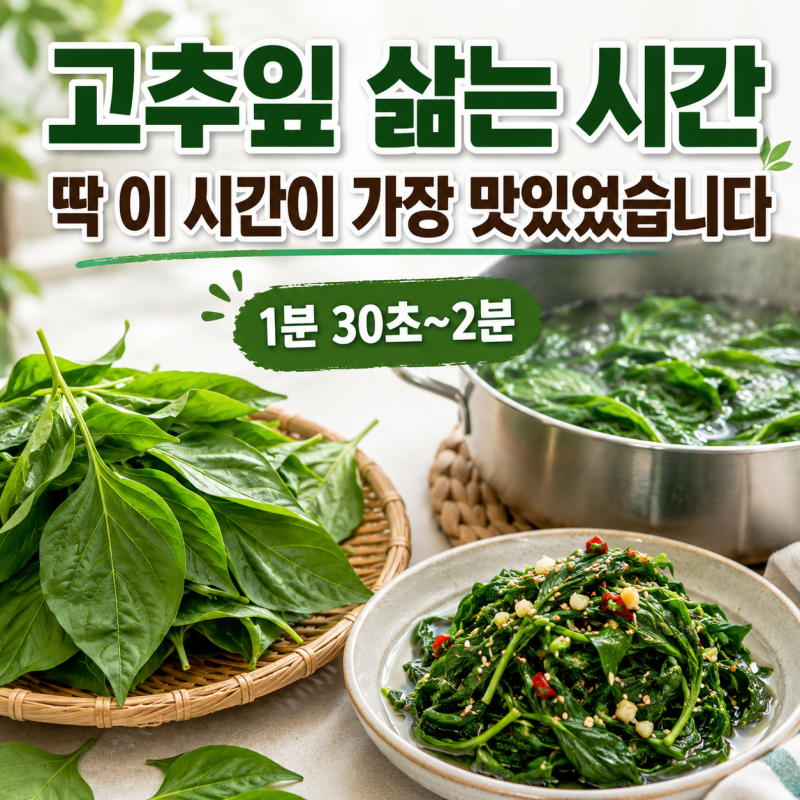 고추잎 삶는 시간, 몇 분이 가장 맛있을까? 직접 데쳐보니 딱 이 시간이었습니다