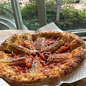 행궁동 맛집 로우파이브｜옥수수피자·라자냐 웨이팅 후기