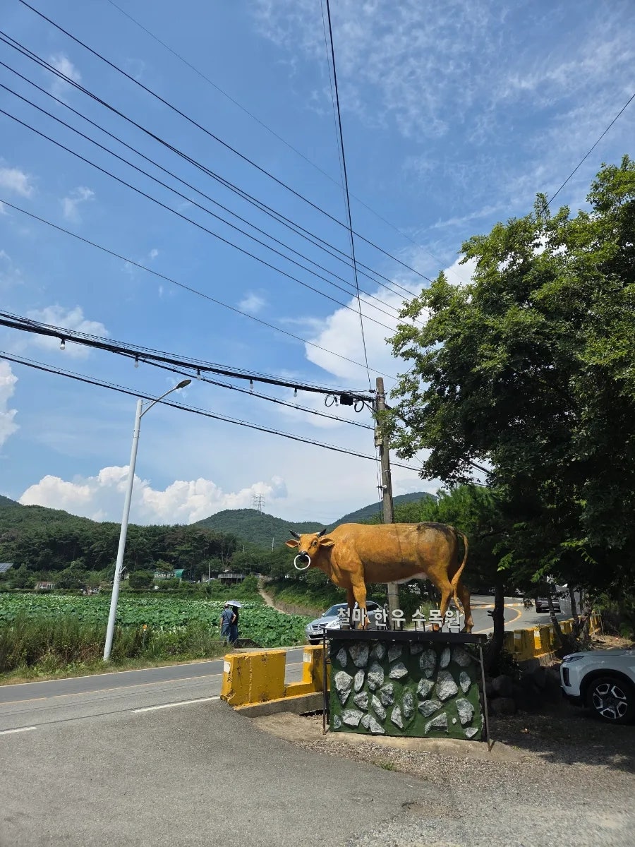 철마한우수목원 사진 3