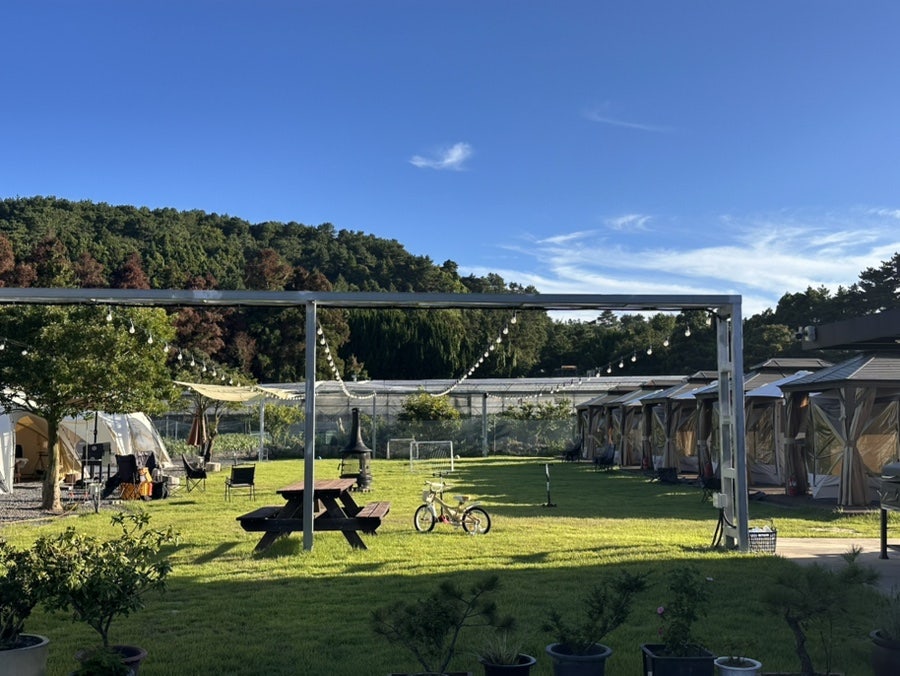 할로마이 사진 1