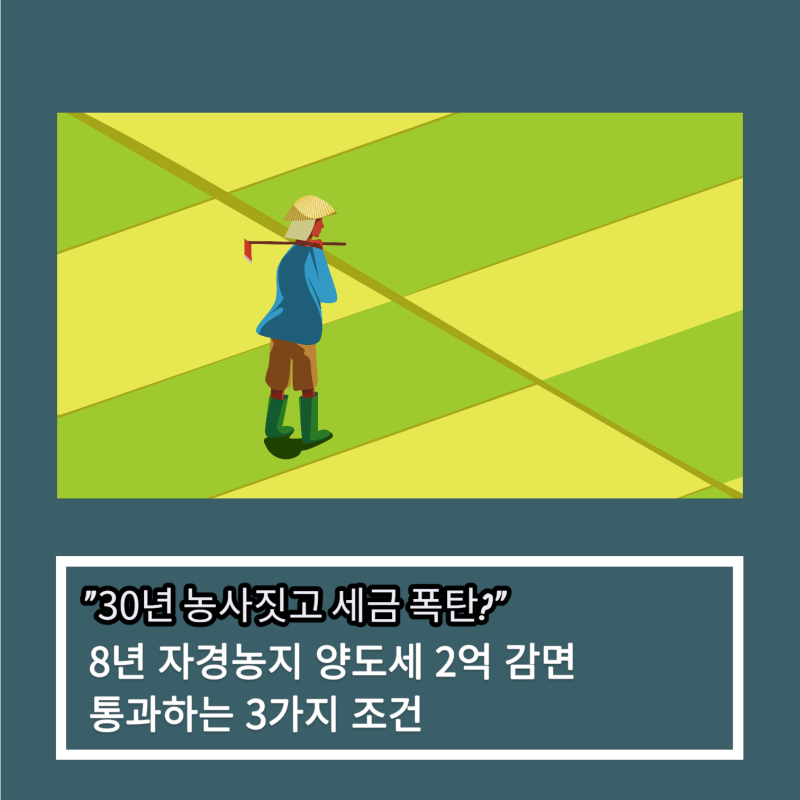 "30년 농사짓고 세금 폭탄?" 8년 자경농지 양도세 2억 감면 통과하는 조건