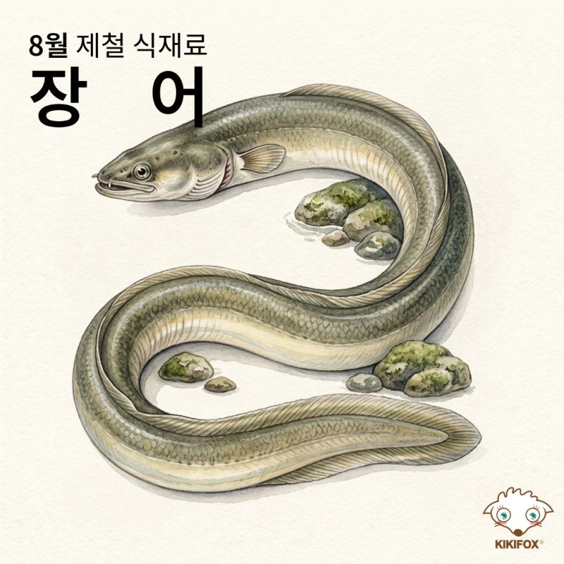 연휴 피로 싹 가시는 최고의 보양식! 8월 제철 장어 비린내 없이 집에서 구워 먹는 법 (손질법....