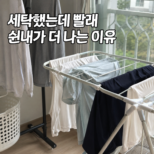빨래 쉰내 제거 원인 5가지와 올바른 해결법 "섬유유연제 넣을수록 쉰내가 더 심해져요"