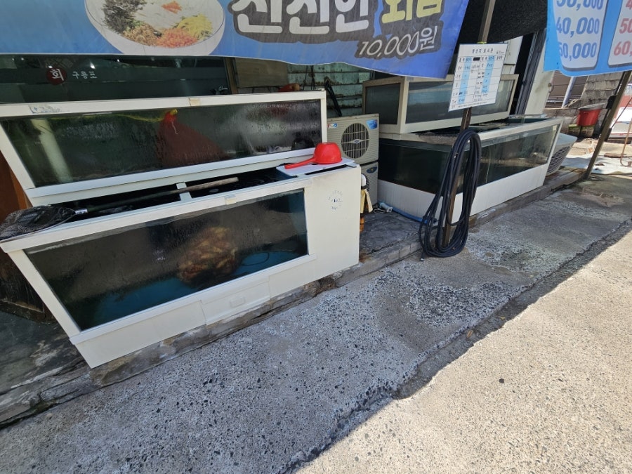구룡포회 사진 3