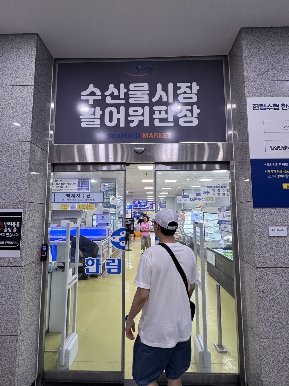 마시레치킨 사진 4