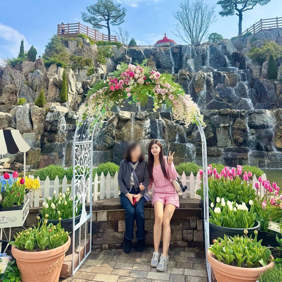 베툴라 사진 1